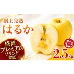 果物の詰合せ はるか りんご 2.5kg