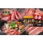 牛肉 ヒレ 飛騨牛 定期便 全6回 毎月 赤身三昧
