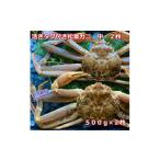 ふるさと納税 カニ 松葉ガニ 鳥取県 三朝町  先行予約 2026年11月中旬以降発送 活きタグ付き松葉ガニ　中　2枚　１枚500〜640ｇ前後MK9｜国産 タグ付き ズワイ…