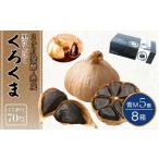 野菜類 加工品 黒にんにく くろくま 青M 計40個