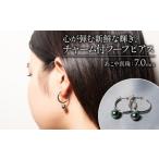 アクセサリー ピアス 心が弾む新鮮な輝き