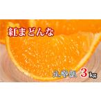 ふるさと納税 果物類 みかん 愛媛県 松山市 化粧箱入り 紅まどんな 丸等級 約3kg (サイズおまかせ) みかん 柑橘 ブランド まどんな 愛媛県 松山市 紅まどんな …