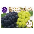 厳選 ぶどう 2種詰合せセット 2房 約1.0kg
