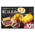 野菜類 サツマイモ さつまいも 紅はるか 芋