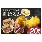 野菜類 サツマイモ さつまいも 紅はるか 芋