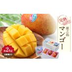 ショッピングふるさと納税 マンゴー ふるさと納税 マンゴー 鹿児島県 伊仙町  先行予約 2026年7月より順次発送 清水果樹園 マンゴー 約2kg(化粧箱入り) 1425293