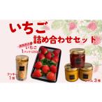 ふるさと納税 いちご 愛媛県 伊予市 イチゴジャム 無添加 いちご くぼなか農園 手作り ミルクジャム 柑橘 マーマレード いちごのロシアンクッキー ギフト 数量…