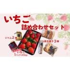 ふるさと納税 いちご 愛媛県 伊予市 イチゴジャム 無添加 いちご くぼなか農園 ミルクジャム おまかせ焼き菓子 ギフト 数量限定 農園直送 愛媛 伊予市｜B200