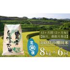 米 定期便 淡路島の棚田米 8kg×6回