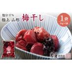 加工品等 梅干 壽屋山形梅干セット17%1kg×1袋
