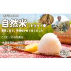 米 M-BF6. 無肥料 無農薬栽培 予約受付