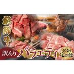 牛肉 セット 訳あり 飛騨牛 定期便 全3回 毎月
