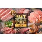 牛肉 セット 飛騨牛 A5 定期便 全3回 毎月