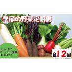 セット 詰合せ 野菜の定期便 こばやし季節の野菜詰め合わせ…