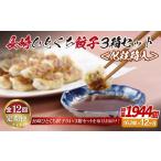 E318p 長崎ひとくち餃子162個 54個入を3箱