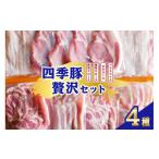 豚肉 セット 四季豚 贅沢セット 厚切りロース4枚