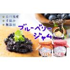 ジャム ブルーベリー ジャム2本セット 110g×2