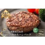 ふるさと納税 牛肉 ハンバーグ 兵庫県 淡路市 淡路島玉ねぎと国産牛の生ハンバーグ150g×20個 150g×20個