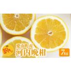 ふるさと納税 みかん