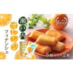 焼菓子 チョコレート フィナンシェ 瀬戸内オレンジ 5個入り