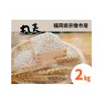 雑穀 ミネラル豊富な丸麦 2kg