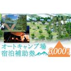 宿泊券 オートキャンプ場 宿泊補助券 3000円分