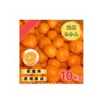 ふるさと納税 果物類 みかん 和歌山県 美浜町 宮川早生みかんご家庭用 10kg箱入 | みかん 早生みかん 早生 訳あり わけあり 旬 柑橘 フルーツ 果物 果実 ミカ…