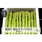 野菜類 アスパラガス 春採り 銀山アスパラガス