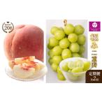 ぶどう マスカット 定期便:全2回 極み二重奏
