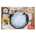 ふるさと納税 米 コシ