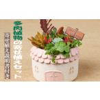 花 苗木 多肉植物の寄せ植え セット メゾンラウンドポット
