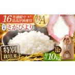 特別栽培米 さがびより 白米 10kg