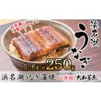 ふるさと納税 うなぎ 静岡県 浜松市 浜名湖うなぎ蒲焼（小丼用）計250g 訳あり サイズ不揃い5〜6袋 加工品 養殖 老舗 手焼き 百貨店 ギフト カット 湯せん レ…