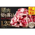 猪肉 令和8年熊本地震復興支援 切り落とし 1.2kg