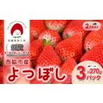 いちご 佐藤果実工房のよつぼし 約270g×3パック