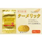 乾物 屋久島の恵 ターメリック 100g×1袋