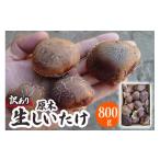 fu.... налог овощи вид .. . Gunma префектура . приятный блок есть перевод . дерево сырой ....800g Gunma префектура . приятный блок производство l шиитаке .. местного производства товар с некоторыми замечаниями прямая поставка от производителя ... ферма . приятный блок 018...