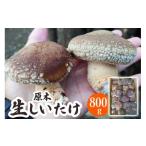 fu.... налог овощи вид .. . Gunma префектура . приятный блок . дерево сырой ....800g Gunma префектура . приятный блок производство l шиитаке .. местного производства прямая поставка от производителя ... ферма . приятный блок 0185