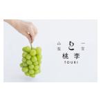 ふるさと納税 ぶどう マスカット 山梨県 笛吹市 25年発送先行予約 シャインマスカット約1.1kg(2~3房) 122-013 北海道・沖縄・離島は配送不可 | シャインマ…
