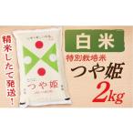 ふるさと納税 米 つや