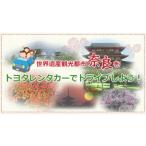 イベントやチケット等 レンタカー利用券
