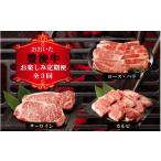 ふるさと納税 牛肉 ステーキ 大分県 国東市 毎月お届け 豊後牛お楽しみ3ヵ月間定期便/計3回_2314R
