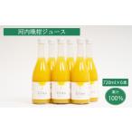 果汁飲料 みかん 無添加 果汁100% 河内晩柑ジュース 720ml×…