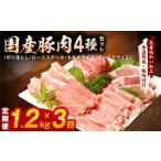 ふるさと納税 豚肉 セット 大阪府 泉佐野市 氷温熟成×極味付け 国産 豚肉 4種セット 定期便 1.2kg×3回 小分け 毎月配送コース