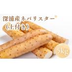 人参 大根 他根菜 お届け:2026年12月中旬~2027年2月下旬
