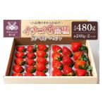 いちご 2026-2027発送分 イチゴ6品種食べ比べセット