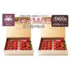 いちご 2026-2027発送分 苺屋あとりゑイチゴ14品種食べ比べ…