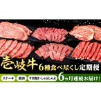 牛肉 セット 全6回定期便 壱岐牛 6種