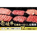 牛肉 セット 全12回定期便 壱岐牛 6種