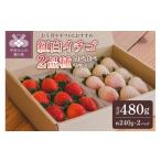 紅白イチゴ2品種食べ比べセット IC-07